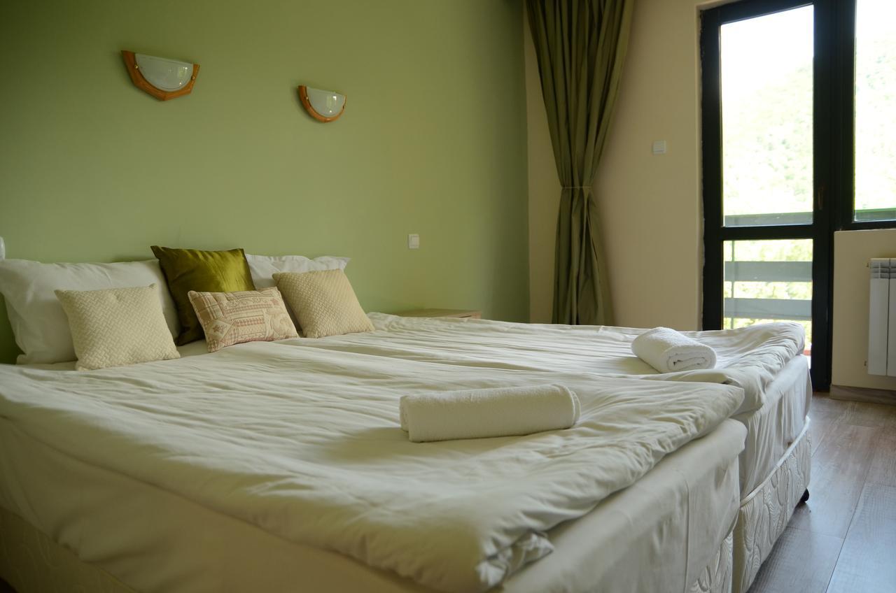 Park Hotel Ribaritsa Экстерьер фото
