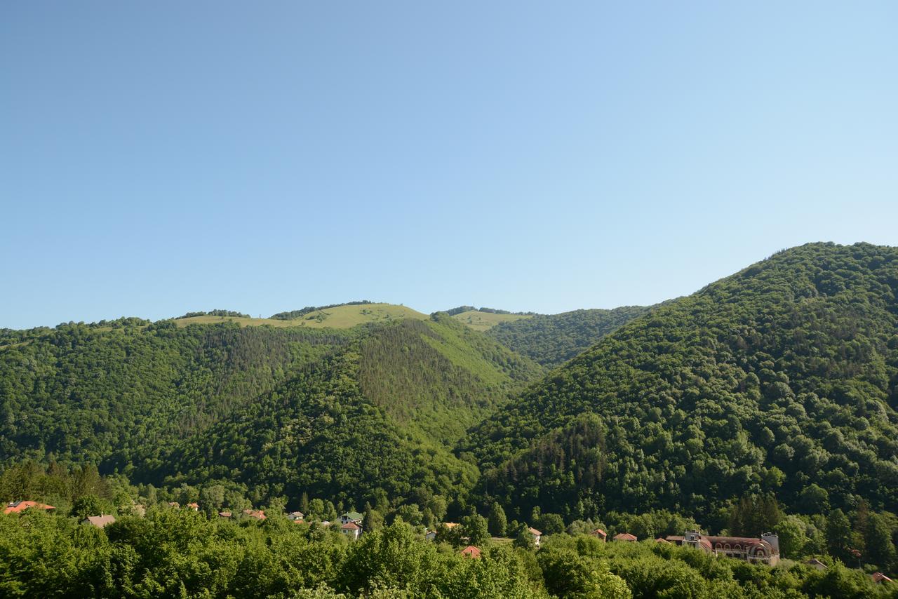 Park Hotel Ribaritsa Экстерьер фото